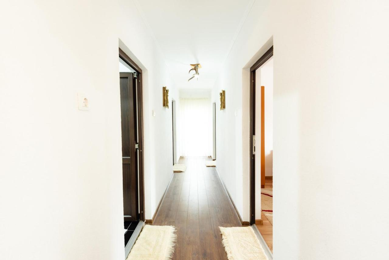 Rachitis Casa Vlc Punct Gastronomic Local Bilbor Bed & Breakfast エクステリア 写真
